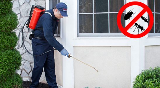 Havran Pire İlaçlama böcek ilaçlama ve haşere kontrolü — ilaclama-tr.com